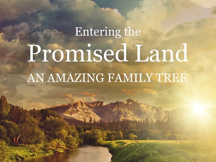Entering the Promised Land – an Amazing Family Tree