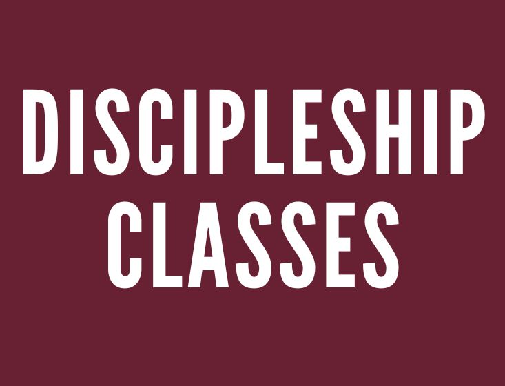 Web Banners (half banner)(1) Discovery Class